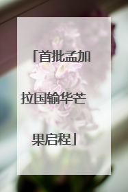 首批孟加拉国输华芒果启程