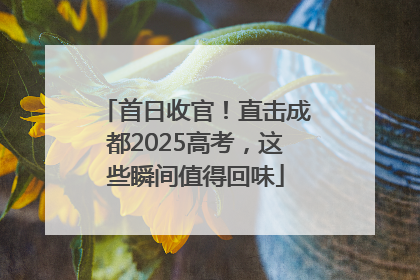 首日收官！直击成都2025高考，这些瞬间值得回味