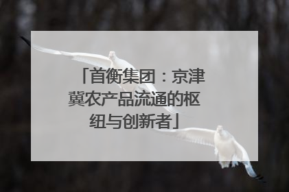 首衡集团：京津冀农产品流通的枢纽与创新者