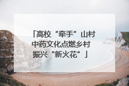 高校“牵手”山村 中药文化点燃乡村振兴“新火花”