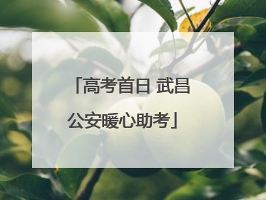 高考首日 武昌公安暖心助考
