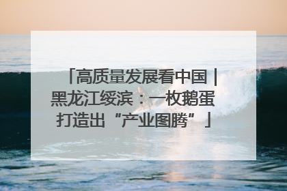 高质量发展看中国｜黑龙江绥滨：一枚鹅蛋打造出“产业图腾”