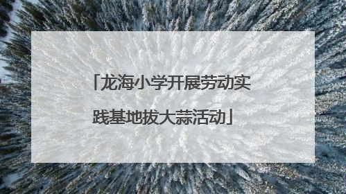 龙海小学开展劳动实践基地拔大蒜活动