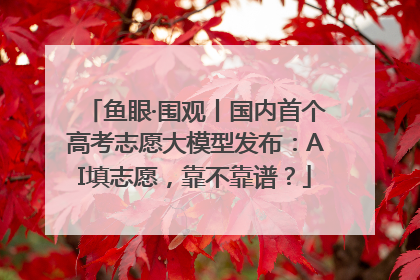 鱼眼·围观丨国内首个高考志愿大模型发布：AI填志愿，靠不靠谱？