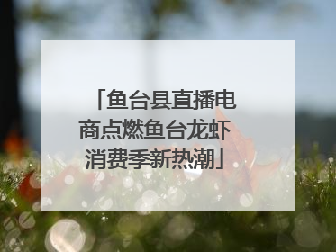 鱼台县直播电商点燃鱼台龙虾消费季新热潮
