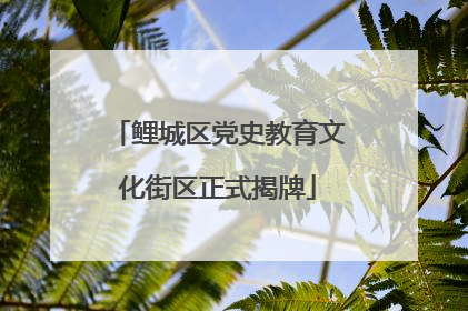 鲤城区党史教育文化街区正式揭牌
