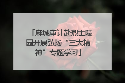 麻城审计赴烈士陵园开展弘扬“三大精神”专题学习