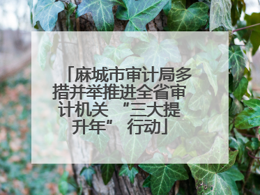 麻城市审计局多措并举推进全省审计机关 “三大提升年” 行动