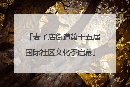 麦子店街道第十五届国际社区文化季启幕