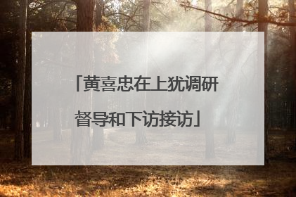 黄喜忠在上犹调研督导和下访接访