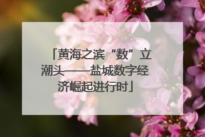 黄海之滨“数”立潮头——盐城数字经济崛起进行时