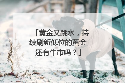 黄金又跳水，持续刷新低位的黄金还有牛市吗？