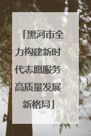 黑河市全力构建新时代志愿服务高质量发展新格局