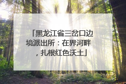 黑龙江省三岔口边境派出所：在界河畔，扎根红色沃土
