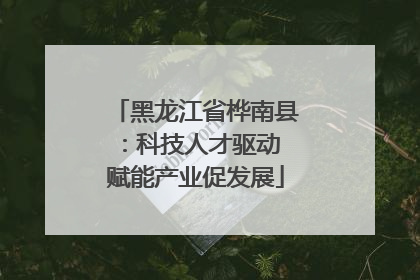 黑龙江省桦南县：科技人才驱动 赋能产业促发展