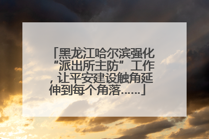 黑龙江哈尔滨强化“派出所主防”工作，让平安建设触角延伸到每个角落……