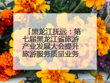 黑龙江抚远：第七届黑龙江省旅游产业发展大会提升旅游服务质量业务培训班结业
