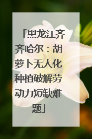 黑龙江齐齐哈尔：胡萝卜无人化种植破解劳动力短缺难题