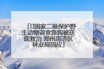 ﻿国家二级保护野生动物误食鱼钩被送医救治 郑州惠济区林业局回应