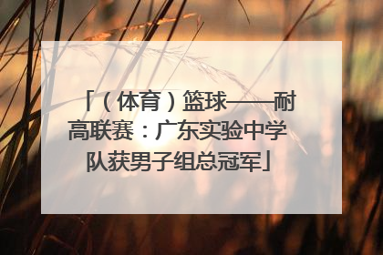 （体育）篮球——耐高联赛：广东实验中学队获男子组总冠军