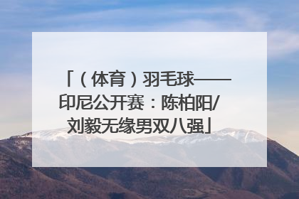 （体育）羽毛球——印尼公开赛：陈柏阳/刘毅无缘男双八强