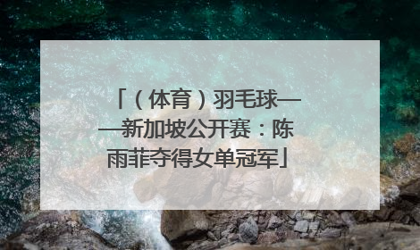 （体育）羽毛球——新加坡公开赛：陈雨菲夺得女单冠军