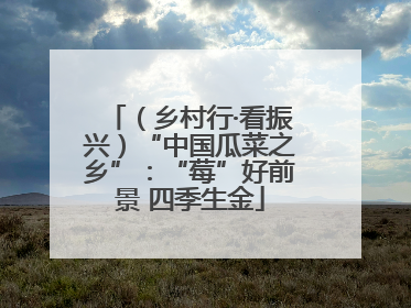（乡村行·看振兴）“中国瓜菜之乡”：“莓”好前景 四季生金