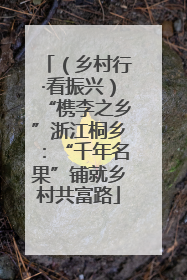 （乡村行·看振兴）“槜李之乡”浙江桐乡：“千年名果”铺就乡村共富路
