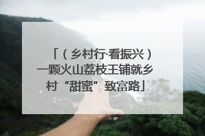 （乡村行·看振兴）一颗火山荔枝王铺就乡村“甜蜜”致富路