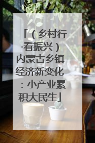 （乡村行·看振兴）内蒙古乡镇经济新变化：小产业累积大民生