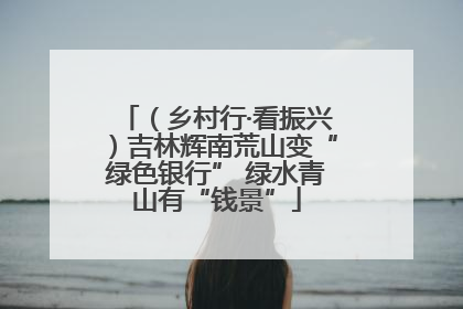（乡村行·看振兴）吉林辉南荒山变“绿色银行” 绿水青山有“钱景”
