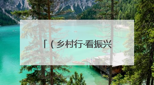 （乡村行·看振兴）广西钦州荔枝集中上市 “荔枝+农文旅融合”助农增收