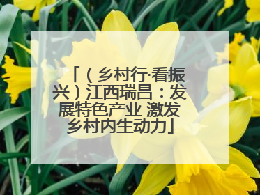 （乡村行·看振兴）江西瑞昌：发展特色产业 激发乡村内生动力