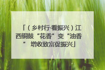 （乡村行·看振兴）江西铜鼓“花香”变“油香” 增收致富促振兴