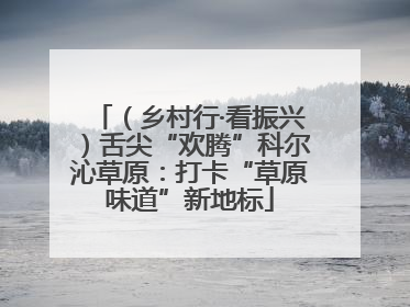 （乡村行·看振兴）舌尖“欢腾”科尔沁草原：打卡“草原味道”新地标