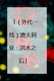 （外代一线）澳大利亚：洪水之后