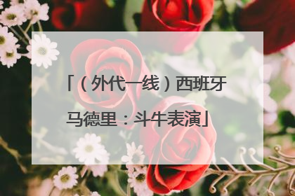 （外代一线）西班牙马德里：斗牛表演