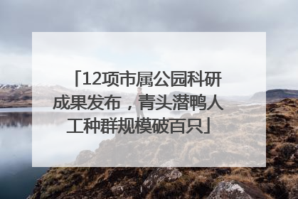 12项市属公园科研成果发布，青头潜鸭人工种群规模破百只