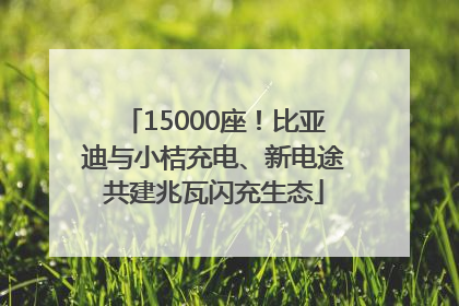15000座！比亚迪与小桔充电、新电途共建兆瓦闪充生态