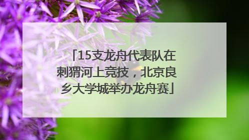 15支龙舟代表队在刺猬河上竞技，北京良乡大学城举办龙舟赛