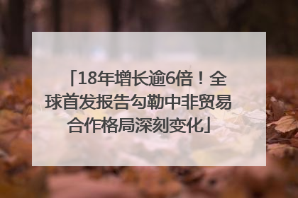 18年增长逾6倍！全球首发报告勾勒中非贸易合作格局深刻变化