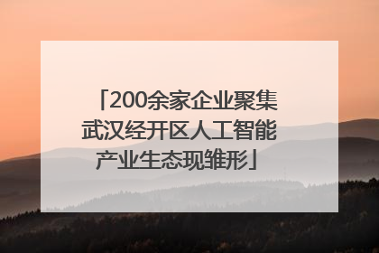 200余家企业聚集 武汉经开区人工智能产业生态现雏形