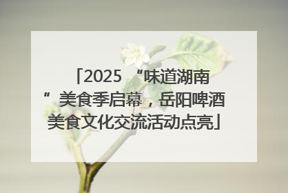 2025 “味道湖南”美食季启幕，岳阳啤酒美食文化交流活动点亮