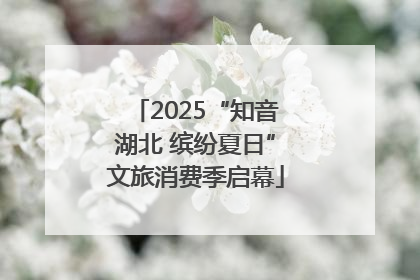 2025“知音湖北 缤纷夏日”文旅消费季启幕