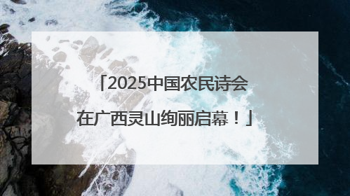 2025中国农民诗会在广西灵山绚丽启幕！