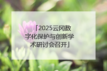 2025云冈数字化保护与创新学术研讨会召开