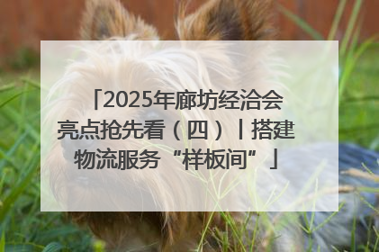 2025年廊坊经洽会亮点抢先看（四）丨搭建物流服务“样板间”