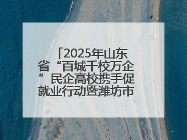 2025年山东省“百城千校万企”民企高校携手促就业行动暨潍坊市职教活动周启动