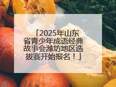 2025年山东省青少年成语经典故事会潍坊地区选拔赛开始报名！