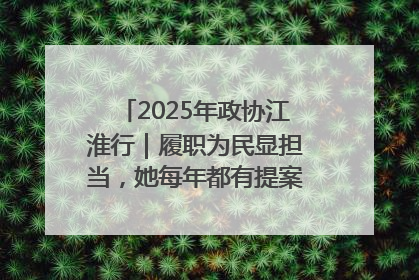 2025年政协江淮行｜履职为民显担当，她每年都有提案被评为“优秀”